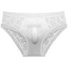 ZD Textured Lace See-Thru Briefs