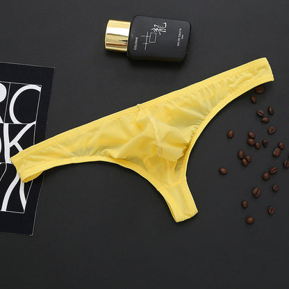 ZD Multi-Pack Silky Thin Thongs