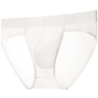 ZD Versatile Designer‑Style See‑Through Briefs