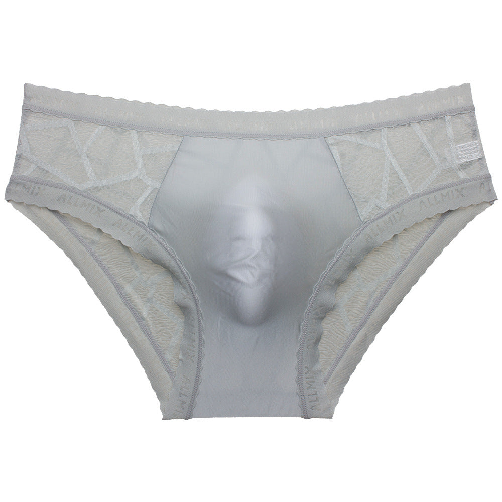 ZD Textured Lace See-Thru Briefs