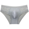 ZD Textured Lace See-Thru Briefs