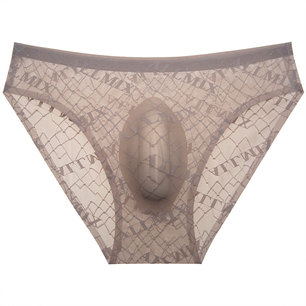 ZD Printed Sheer Mesh Men Brief